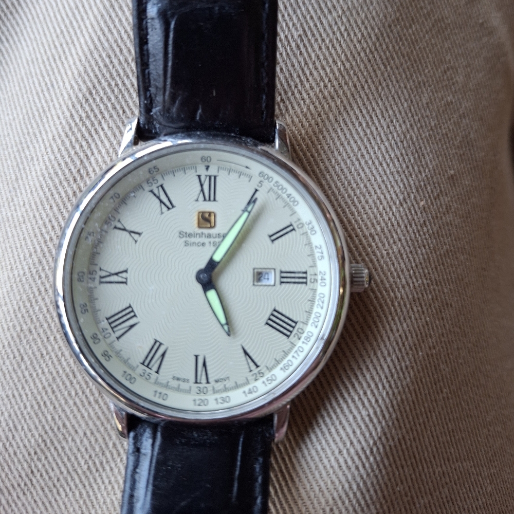 Steinhausen mens watch